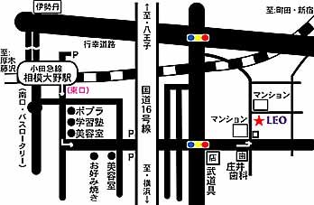 CutMapLEO_Ohno