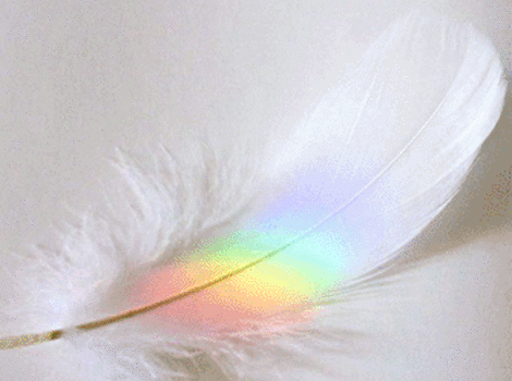 rainbow_feather
